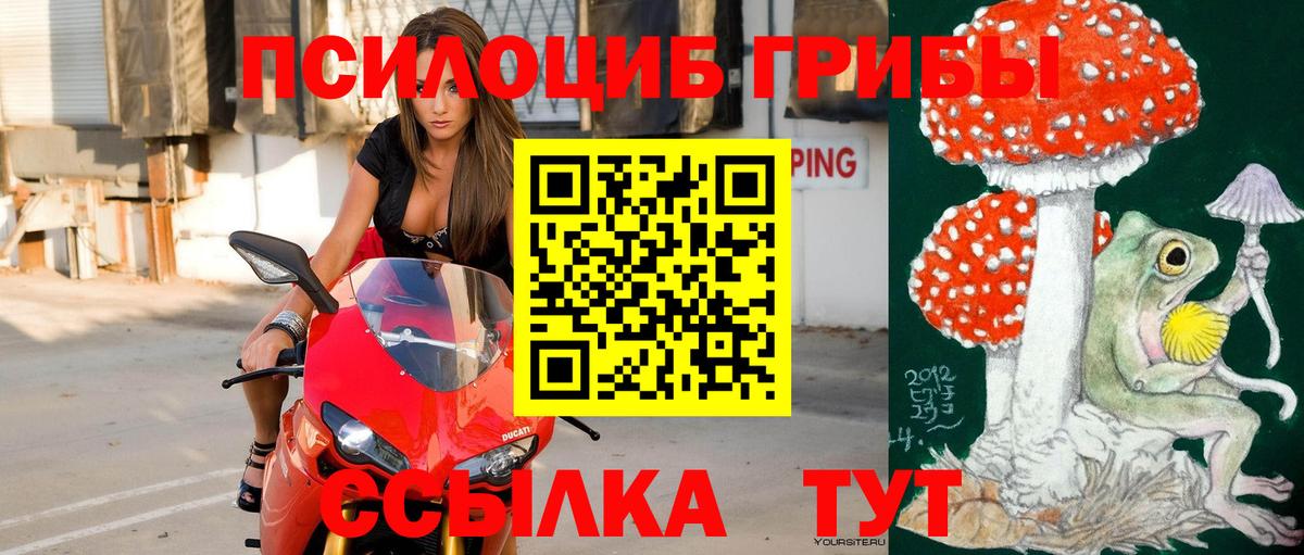 Псилоцибиновые грибы GOLDEN TEACHER Белорецк